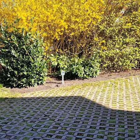 Apartment Alte Reihe 10 Whg 7